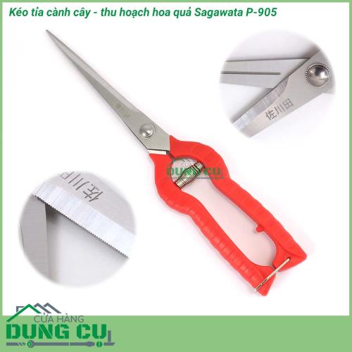 Kéo cắt tỉa cành cây thu hoạch hoa quả Sagawata P-905