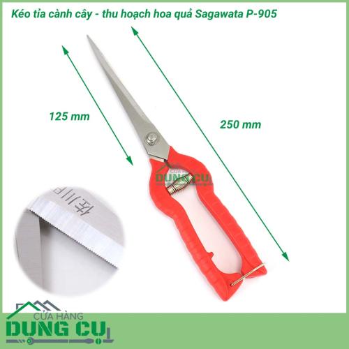 Kéo cắt tỉa cành cây thu hoạch hoa quả Sagawata P-905