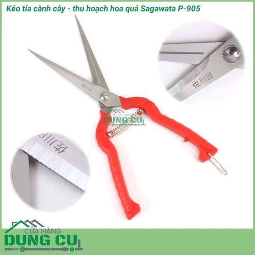 Kéo cắt tỉa cành cây thu hoạch hoa quả Sagawata P-905