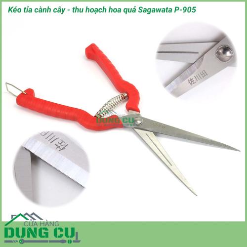 Kéo cắt tỉa cành cây thu hoạch hoa quả Sagawata P-905