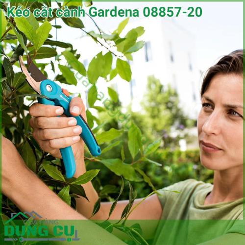 Kéo cắt cành Gardena 08857-20 với lưới dao sắc bén được làm bằng thép không gỉ chất lượng cao. Khi cắt tạo nên một vết cắt phẳng mịn. Tay cầm được bọc nhựa mềm mại tạo cảm giác thoải mái cho người sử dụng.