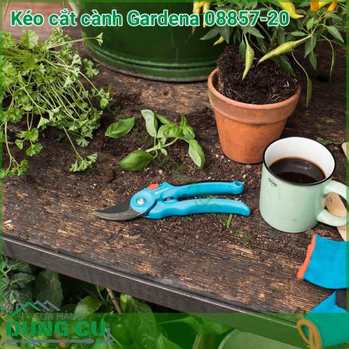 Kéo cắt cành Gardena 08857-20 với lưới dao sắc bén được làm bằng thép không gỉ chất lượng cao. Khi cắt tạo nên một vết cắt phẳng mịn. Tay cầm được bọc nhựa mềm mại tạo cảm giác thoải mái cho người sử dụng.
