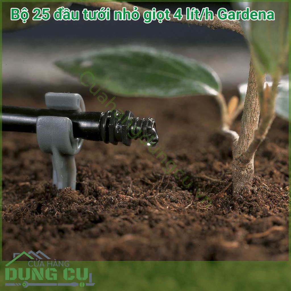 Bộ 25 đầu tưới nhỏ giọt 4 lít/H Gardena phù hợp cho những cây đứng riêng lẻ khi sử dụng cùng với dây tưới đường kính 3/16'' (01348-20) và những hàng cây thẳng khi sử dụng với ống dây đường kính 13mm (01347-20)