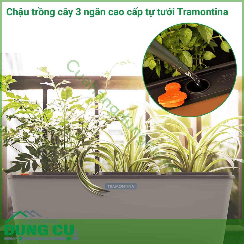 Chậu trồng cây 3 ngăn tự tưới cao cấp Tramontina được sản xuất tại Brazil thuộc thương hiệu Tramontina. Sản phẩm được làm bằng chất liệu cao cấp, độ bền cao.