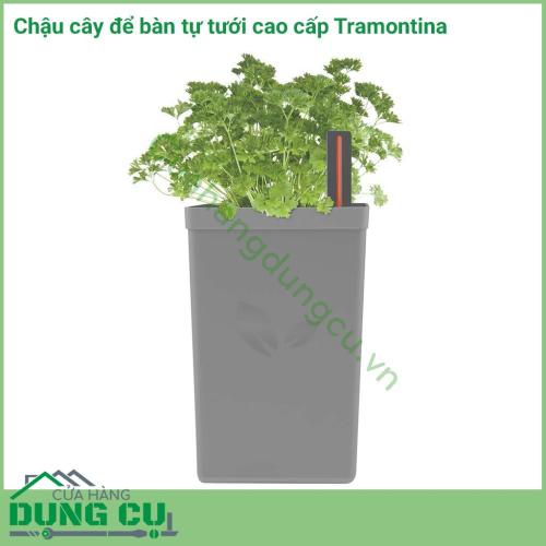 Chậu cây để bàn tự tưới cao cấp Tramontina được sản xuất tại Brazil thuộc thương hiệu Tramontina. Sản phẩm được làm bằng chất liệu cao cấp, độ bền cao, nhỏ gọn.