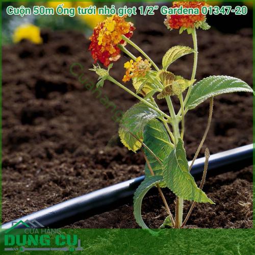 Cuộn 50m Ống tưới nhỏ giọt 1/2 inch (13mm) Gardena 01347-20 là đường dây phụ cung cấp cho hệ thống tưới nhỏ giọt đến từng cây riêng lẻ, chiều dài của cuộn dây là 50 mét. 