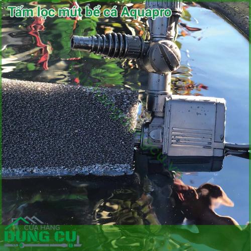 Tấm lọc mút bể cá cảnh Aquapro 450mm rất hiệu quả và linh hoạt, thích ứng với nhiều loại máy bơm khác nhau, giúp ngăn chặn lá cây và các mảnh vụn khác xâm nhập.