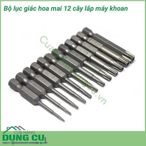 Bộ lục giác hoa thị 12 cây lắp máy khoan chuyên được sử dụng để tháo lắp các loại ốc vít hình sao 6 đỉnh. Với bộ 12 cây lục giác hoa thị giúp cho công việc của bạn được thực hiện nhanh chóng mà không tốn nhiều công sức.