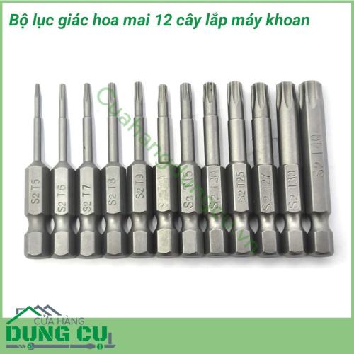 Bộ lục giác hoa thị 12 cây lắp máy khoan chuyên được sử dụng để tháo lắp các loại ốc vít hình sao 6 đỉnh. Với bộ 12 cây lục giác hoa thị giúp cho công việc của bạn được thực hiện nhanh chóng mà không tốn nhiều công sức.