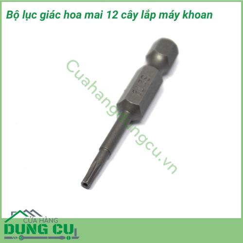 Bộ lục giác hoa thị 12 cây lắp máy khoan chuyên được sử dụng để tháo lắp các loại ốc vít hình sao 6 đỉnh. Với bộ 12 cây lục giác hoa thị giúp cho công việc của bạn được thực hiện nhanh chóng mà không tốn nhiều công sức.