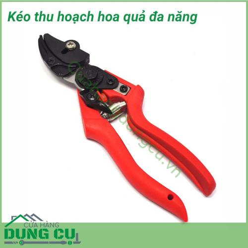 Kéo thu hoạch hoa quả, cắt tỉa cây đa năng chuyên sử dụng để cắt tỉa cành, hoa và cây ăn quả trong vườn. Kéo thích hợp cho việc cắt quả cà chua, dưa chuột, nho, cam, quýt,...Lưỡi kéo mạnh mẽ, sắc bén và bền vững. Kéo cầm vừa tay, gọn nhẹ