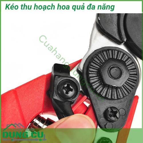 Kéo thu hoạch hoa quả, cắt tỉa cây đa năng chuyên sử dụng để cắt tỉa cành, hoa và cây ăn quả trong vườn. Kéo thích hợp cho việc cắt quả cà chua, dưa chuột, nho, cam, quýt,...Lưỡi kéo mạnh mẽ, sắc bén và bền vững. Kéo cầm vừa tay, gọn nhẹ