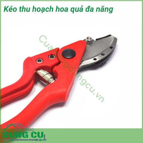 Kéo thu hoạch hoa quả, cắt tỉa cây đa năng chuyên sử dụng để cắt tỉa cành, hoa và cây ăn quả trong vườn. Kéo thích hợp cho việc cắt quả cà chua, dưa chuột, nho, cam, quýt,...Lưỡi kéo mạnh mẽ, sắc bén và bền vững. Kéo cầm vừa tay, gọn nhẹ