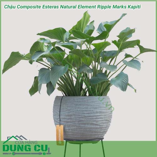 Chậu Composite Esteras Natural Element Ripple Marks Kapiti được lấy ý tưởng từ các từ thiên nhiên được thiết kế mộc mạc kết hợp màu sắc trang nhã nhẹ nhàng đem lại sự sang trọng và tinh tế cho không gian nhà bạn.