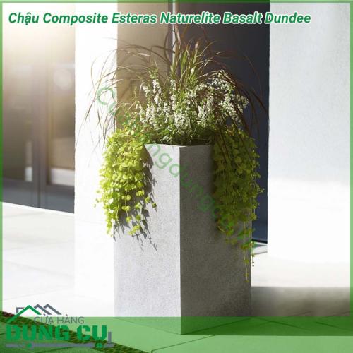 Chậu Composite Esteras Naturelite Basalt Dundee được lấy ý tưởng từ các từ thiên nhiên được thiết kế mộc mạc kết hợp màu sắc trang nhã nhẹ nhàng đem lại sự sang trọng và tinh tế cho không gian nhà bạn