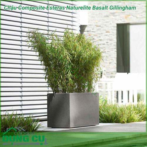 Chậu Composite Esteras Naturelite Basalt Gillingham Được gia công bởi những bàn tay của các nghệ nhân nên đường nét của chậu sắc nét đến từng chi tiết mỗi bộ sưu tập chậu khác nhau sẽ mang đến những trải nghiệm thú vị cho người sử dụng.