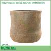 Chậu Composite Esteras Naturelite Old Stone Kerry được lấy ý tưởng từ các từ thiên nhiên được thiết kế mộc mạc kết hợp màu sắc trang nhã nhẹ nhàng đem lại sự sang trọng và tinh tế cho không gian nhà bạn. 