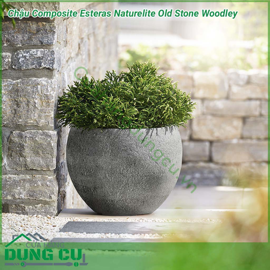 Chậu Composite Esteras Naturelite Old Stone Woodley với ý tưởng bắt nguồn thiên nhiên, mang thiết kế mộc mạc kết hợp màu sắc nhẹ nhàng, trang nhã đem lại sự sang trọng và tinh tế cho không gian nhà bạn. 