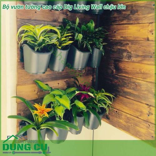 Bộ vườn tường cao cấp Dig Living Wall chậu lớn cho cảnh quan được làm từ nhựa cao cấp, với các vỉ nhựa được thiết kệ tiện lợi, chắc chắn giúp việc gắn và tháo di dời các chậu cây một cách nhanh chóng, dễ dàng