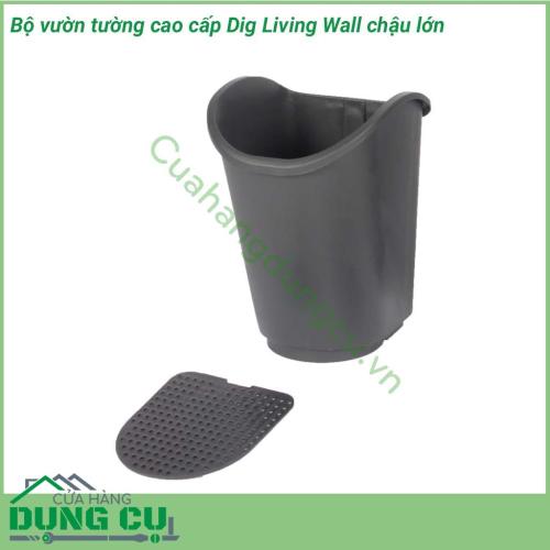 Bộ vườn tường cao cấp Dig Living Wall chậu lớn cho cảnh quan được làm từ nhựa cao cấp, với các vỉ nhựa được thiết kệ tiện lợi, chắc chắn giúp việc gắn và tháo di dời các chậu cây một cách nhanh chóng, dễ dàng