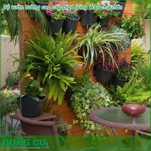 Bộ vườn tường cao cấp Dig Living Wall chậu lớn cho cảnh quan được làm từ nhựa cao cấp, với các vỉ nhựa được thiết kệ tiện lợi, chắc chắn giúp việc gắn và tháo di dời các chậu cây một cách nhanh chóng, dễ dàng