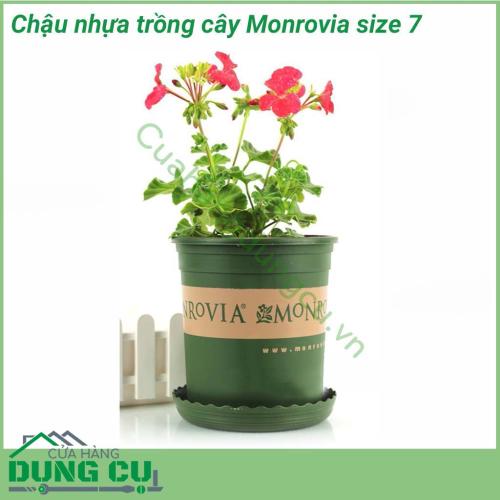 Chậu hoa Monrovia cao cấp size 7 bền - tốt, hàng nhập khẩu công ty, thích hợp dùng trồng cây tại nhà, trồng cây trên ban công, sân thượng. Phong cách Châu Âu mang lại vẻ đẹp sang trọng, đẳng cấp