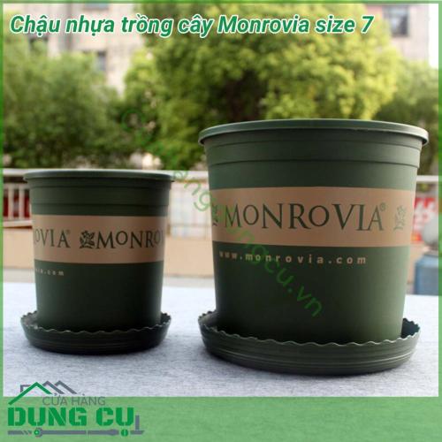 Chậu hoa Monrovia cao cấp size 7 bền - tốt, hàng nhập khẩu công ty, thích hợp dùng trồng cây tại nhà, trồng cây trên ban công, sân thượng. Phong cách Châu Âu mang lại vẻ đẹp sang trọng, đẳng cấp