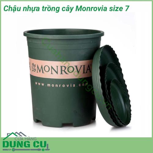 Chậu hoa Monrovia cao cấp size 7 bền - tốt, hàng nhập khẩu công ty, thích hợp dùng trồng cây tại nhà, trồng cây trên ban công, sân thượng. Phong cách Châu Âu mang lại vẻ đẹp sang trọng, đẳng cấp