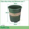 Chậu hoa Monrovia cao cấp size 7 bền - tốt, hàng nhập khẩu công ty, thích hợp dùng trồng cây tại nhà, trồng cây trên ban công, sân thượng. Phong cách Châu Âu mang lại vẻ đẹp sang trọng, đẳng cấp