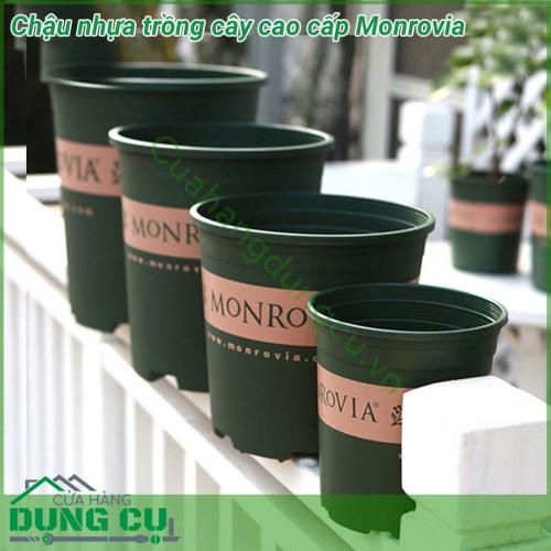 Chậu nhựa Monrovia cao cấp trồng cây bền - tốt, hàng nhập khẩu công ty, thích hợp dùng trồng cây tại nhà, trồng cây trên ban công, sân thượng. Phong cách Châu Âu mang lại vẻ đẹp sang trọng, đẳng cấp