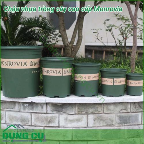 Chậu nhựa Monrovia cao cấp trồng cây bền - tốt, hàng nhập khẩu công ty, thích hợp dùng trồng cây tại nhà, trồng cây trên ban công, sân thượng. Phong cách Châu Âu mang lại vẻ đẹp sang trọng, đẳng cấp