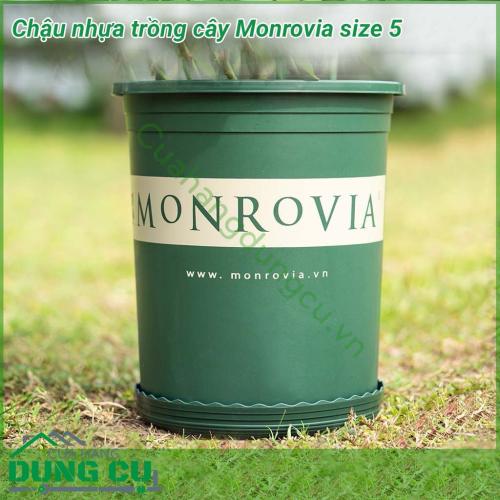 Chậu trồng cây cảnh Monrovia size 5 được sản xuất bằng nhựa pp với thiết kế thông minh và có độ nhám giúp các loại cây phát triển tốt nhất. Chậu Monrovia được thiết kế chuyên để trồng các loại hoa kiểng như: hoa trà my, hoa cúc,... 