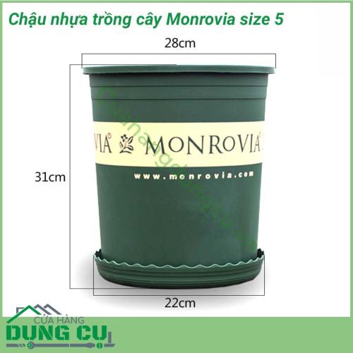 Chậu trồng cây cảnh Monrovia size 5 được sản xuất bằng nhựa pp với thiết kế thông minh và có độ nhám giúp các loại cây phát triển tốt nhất. Chậu Monrovia được thiết kế chuyên để trồng các loại hoa kiểng như: hoa trà my, hoa cúc,... 