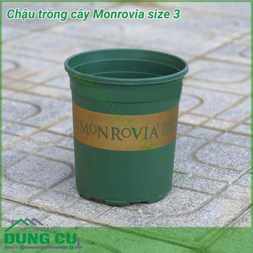 Chậu trồng hoa Monrovia size 3 làm bằng nhựa dẻo, dầy, chịu được va đập mạnh, kiểu dáng đẹp. Duy nhất màu xanh với dòng chữ và logo bản quyền sắc nét. Chậu Monrovia bền tốt, cao cấp, thích hợp dùng trồng cây tại nhà, trồng cây trên ban công, sân thượng.