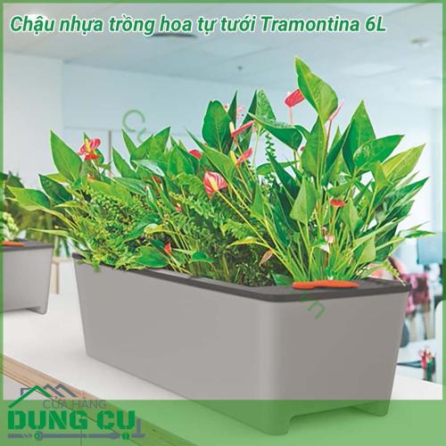 Chậu nhựa trồng hoa tự tưới Tramontina 6L được làm bằng nhựa polypropylene cao cấp chịu lực, chống tia cực tím với tuổi thọ cao hơn, chống phai màu và thiết kế vô cùng đẹp mắt.