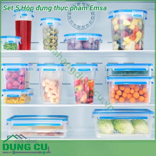 Hộp đựng thực phẩm đa năng Emsa được làm từ chất liệu nhựa polypropylene trong suốt, có nắp đậy màu xanh biếc rất đẹp. Chất liệu an toàn tuyệt đối cho trẻ nhỏ. Có thể sử dụng trong tủ lạnh, lò vi sóng. Chịu được nhiệt độ cao.