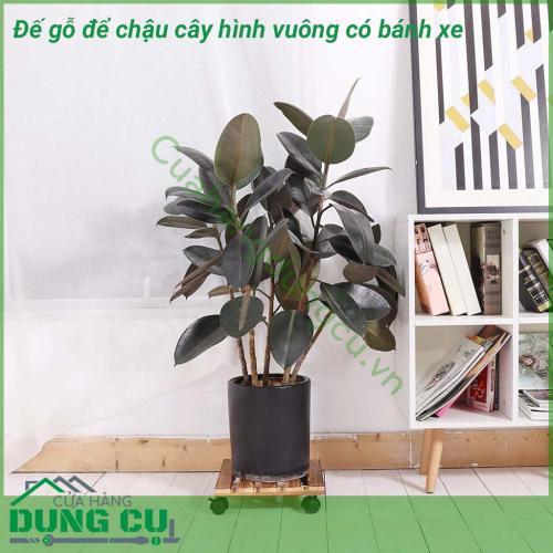 Đế gỗ để chậu cây hình vuông có bánh xe di chuyển được làm bằng gỗ chất lượng cao, bền và chắc chắn, chịu được trọng lượng đến 80kg giúp bạn dễ dàng đặt những chậu cây nhỏ lên 1 cách dễ dàng. Đế gỗ sẽ giúp không gian trở nên gọn gàng và đẹp mắt hơn.