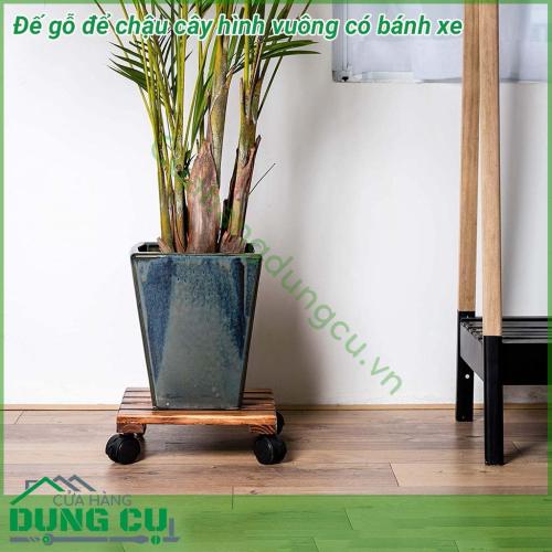 Đế gỗ để chậu cây hình vuông có bánh xe di chuyển được làm bằng gỗ chất lượng cao, bền và chắc chắn, chịu được trọng lượng đến 80kg giúp bạn dễ dàng đặt những chậu cây nhỏ lên 1 cách dễ dàng. Đế gỗ sẽ giúp không gian trở nên gọn gàng và đẹp mắt hơn.