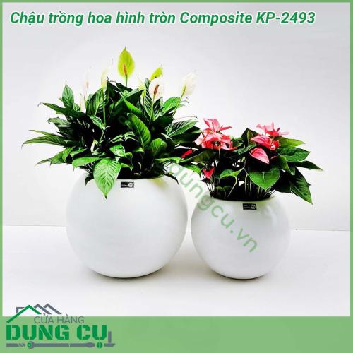 Chậu trồng hoa hình tròn Composite KP-2493 có kiểu dáng và màu sắc hiện đại, độ bền cao. Chậu mang nét đẹp hiện đại phù hợp với nét sống hiện đại ngày nay. Được mọi người yêu thích và lựa chọn để trang trí cho ngôi nhà, sân vườn, công ty hay nhà hàng…