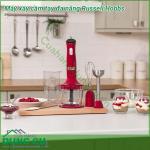 Máy xay cầm tay đa năng Russell Hobbs