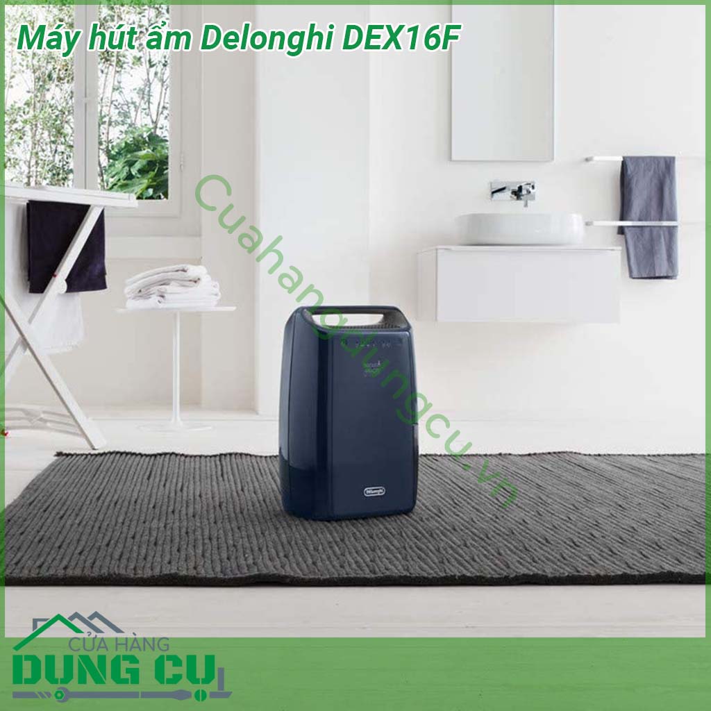 Máy hút ẩm DELONGHI DEX16F có kiểu dáng uốn cong mềm mại với gam màu xanh sang trọng giúp làm nổi bật không gian nội thất hiện đại của gia đình Tay xách di chuyển tiện lợi giúp di chuyển máy dễ dàng đến mọi vị trí mong muốn