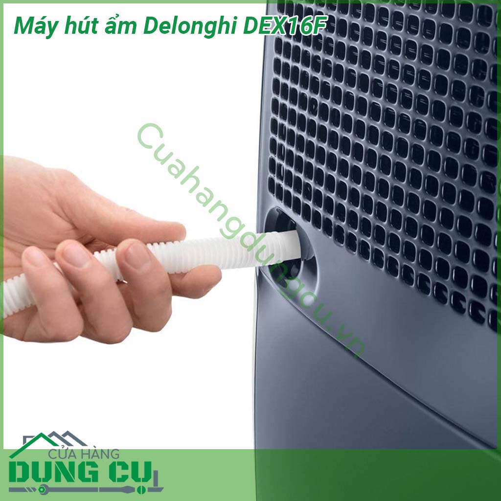 Máy hút ẩm DELONGHI DEX16F có kiểu dáng uốn cong mềm mại với gam màu xanh sang trọng giúp làm nổi bật không gian nội thất hiện đại của gia đình Tay xách di chuyển tiện lợi giúp di chuyển máy dễ dàng đến mọi vị trí mong muốn