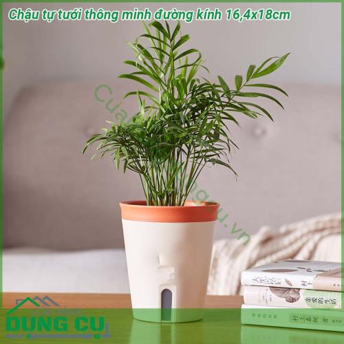 Chậu tự tưới thông minh đường kính 16 4x18cm được làm từ chất liệu nhựa dẻo dai chống va đập với thiết kế 2 lớp lớp trên đựng giá thể đất trồng lớp dưới chứa nước  Có thể sử dụng trong nhà và ngoài trời không sợ rò rỉ nước làm hỏng nội thất