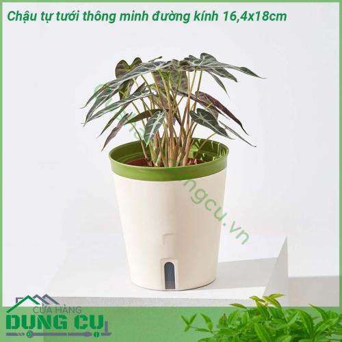 Chậu tự tưới thông minh đường kính 16 4x18cm được làm từ chất liệu nhựa dẻo dai chống va đập với thiết kế 2 lớp lớp trên đựng giá thể đất trồng lớp dưới chứa nước  Có thể sử dụng trong nhà và ngoài trời không sợ rò rỉ nước làm hỏng nội thất