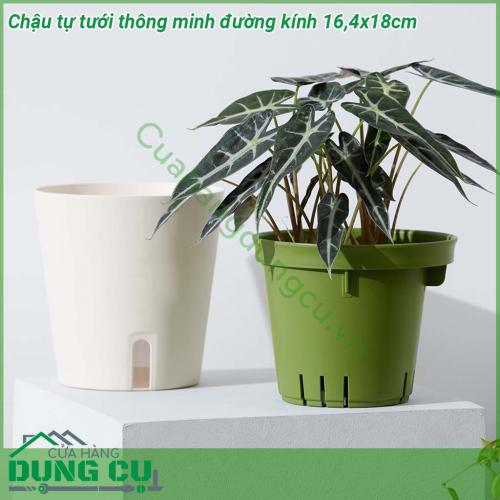 Chậu tự tưới thông minh đường kính 16 4x18cm được làm từ chất liệu nhựa dẻo dai chống va đập với thiết kế 2 lớp lớp trên đựng giá thể đất trồng lớp dưới chứa nước  Có thể sử dụng trong nhà và ngoài trời không sợ rò rỉ nước làm hỏng nội thất