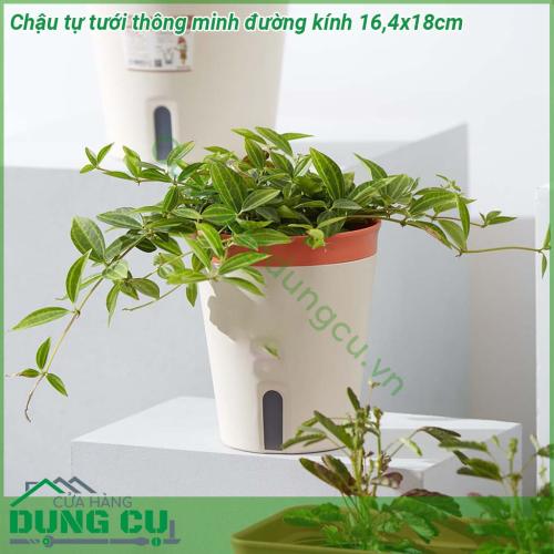 Chậu tự tưới thông minh đường kính 16 4x18cm được làm từ chất liệu nhựa dẻo dai chống va đập với thiết kế 2 lớp lớp trên đựng giá thể đất trồng lớp dưới chứa nước  Có thể sử dụng trong nhà và ngoài trời không sợ rò rỉ nước làm hỏng nội thất