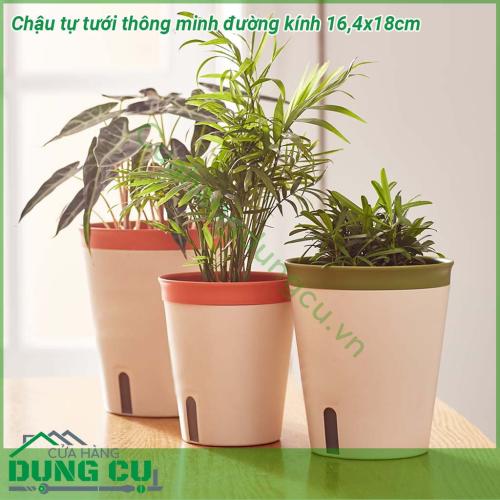 Chậu tự tưới thông minh đường kính 16 4x18cm được làm từ chất liệu nhựa dẻo dai chống va đập với thiết kế 2 lớp lớp trên đựng giá thể đất trồng lớp dưới chứa nước  Có thể sử dụng trong nhà và ngoài trời không sợ rò rỉ nước làm hỏng nội thất