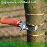 Dụng cụ khoanh vỏ chiết cành 1 lưỡi