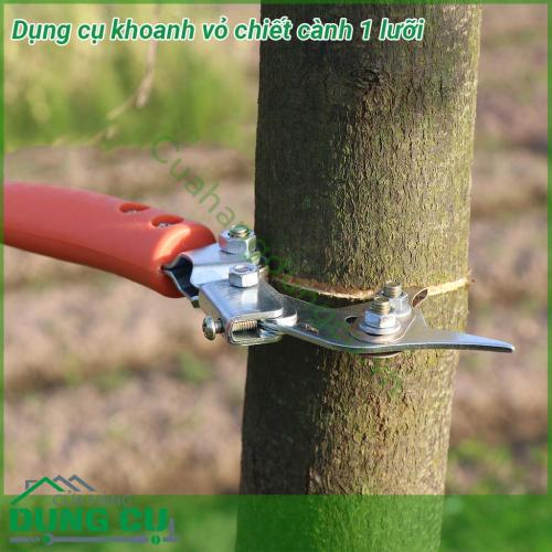 Dụng cụ khoanh vỏ chiết cành 1 lưỡi được thiết kế rất đặc biệt lưỡi dao móc vô cùng sắc bén dễ dàng khoanh vỏ cây Tay cầm được bọc bằng nhựa giữa thân dụng cụ khoanh có gắn vòng bi xoay để giúp dụng cụ xoay xung quanh thân cây được nhẹ nhàng