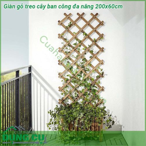 Giàn gỗ treo cây ban công đa năng 200x60cm được làm từ gỗ đã được xử lý tỉ mỉ chịu được mọi yếu tố thời tiết nắng mưa độ bền cao khi sử dụng ngoài trời sản phẩm lại độc đáo khác biệt có thể co giãn gấp gọn dễ dàng phù hợp với không gian của bạn